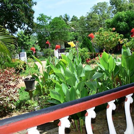 New Vilard Tissamaharama Ngoại thất bức ảnh