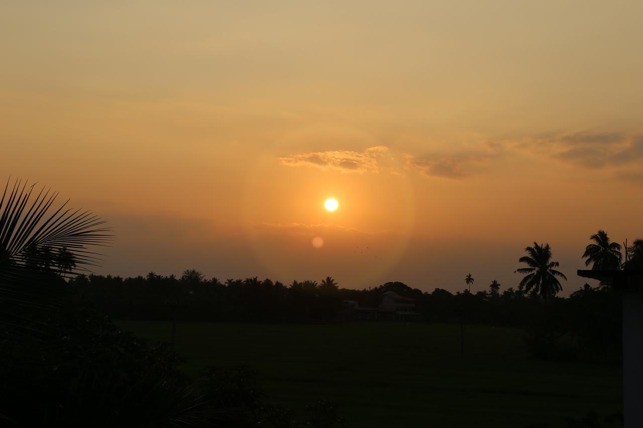 New Vilard Tissamaharama Ngoại thất bức ảnh