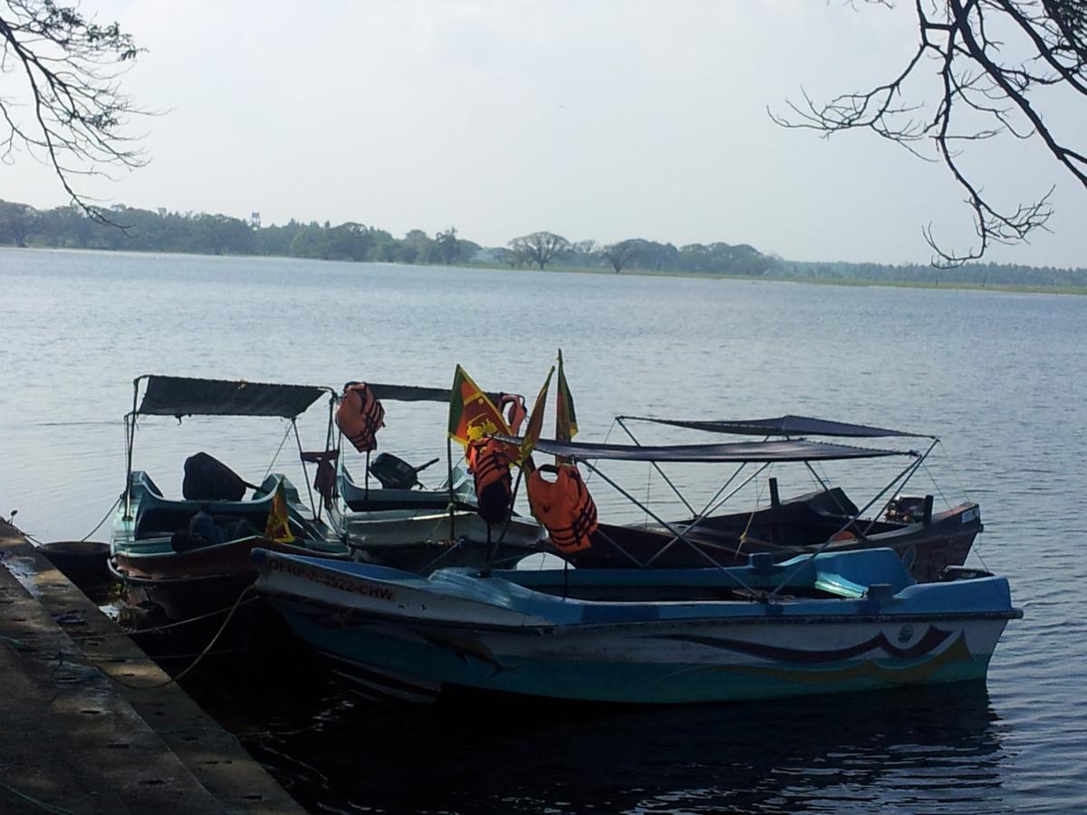 New Vilard Tissamaharama Ngoại thất bức ảnh