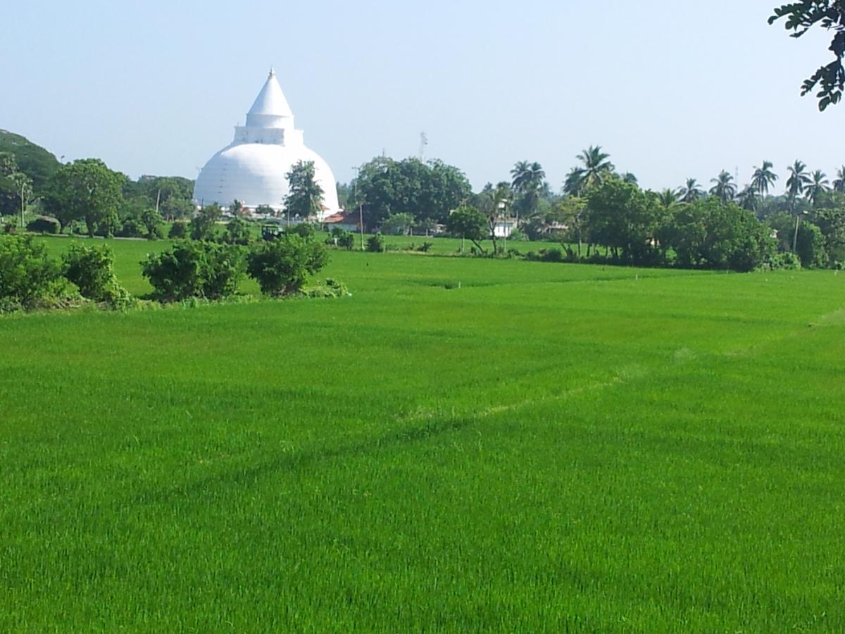 New Vilard Tissamaharama Ngoại thất bức ảnh